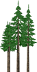 trees 105 55